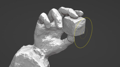 Auto-Masking